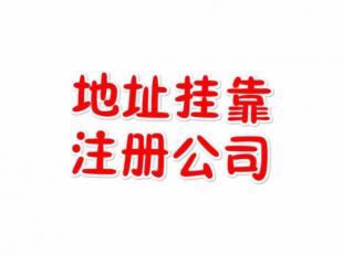 禪城注冊(cè)公司與佛山代理記賬代辦服務(wù)全攻略